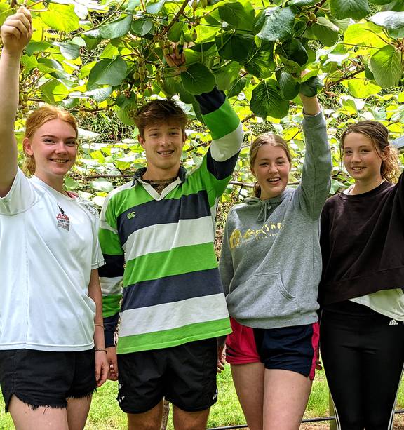 Students help out at orchard to fundraise for Maadi Cup - NZ Herald