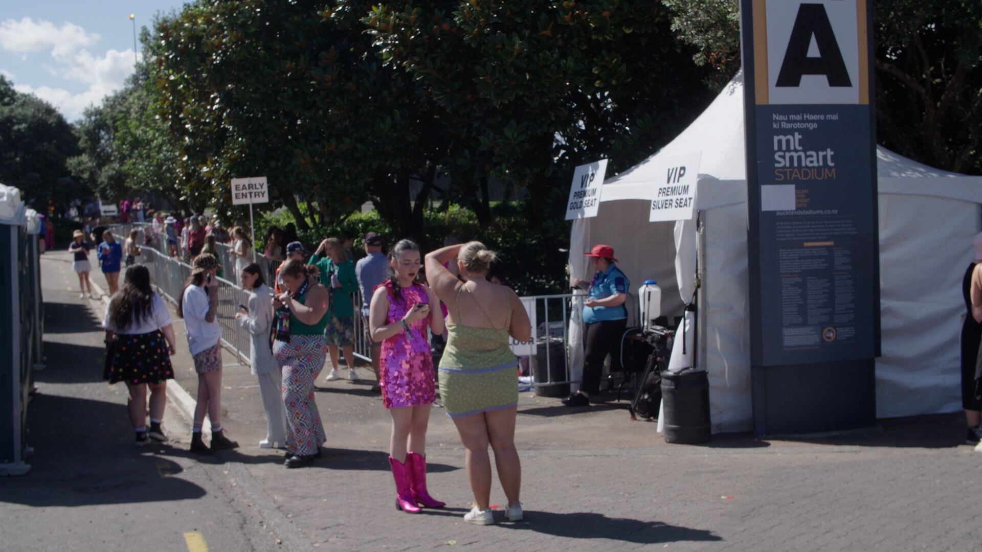 How NZ dresses: Superfans in the line for Harry Styles