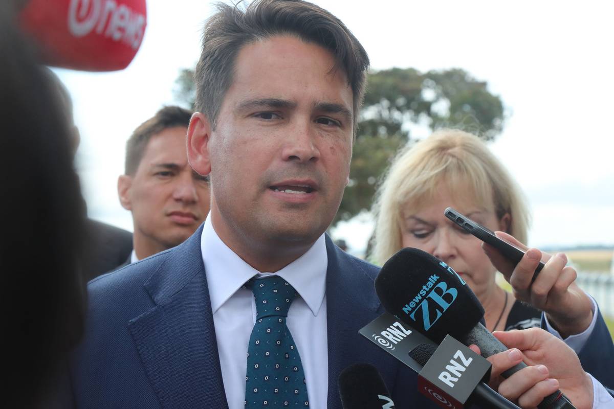 Simon bridges