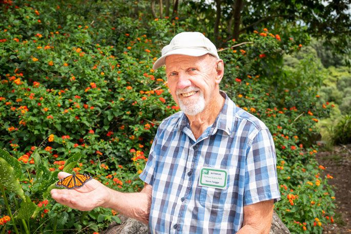 Norm Twigge has developed a passion for butterflies since he was a teenager. Photo: Brydie Thompson.