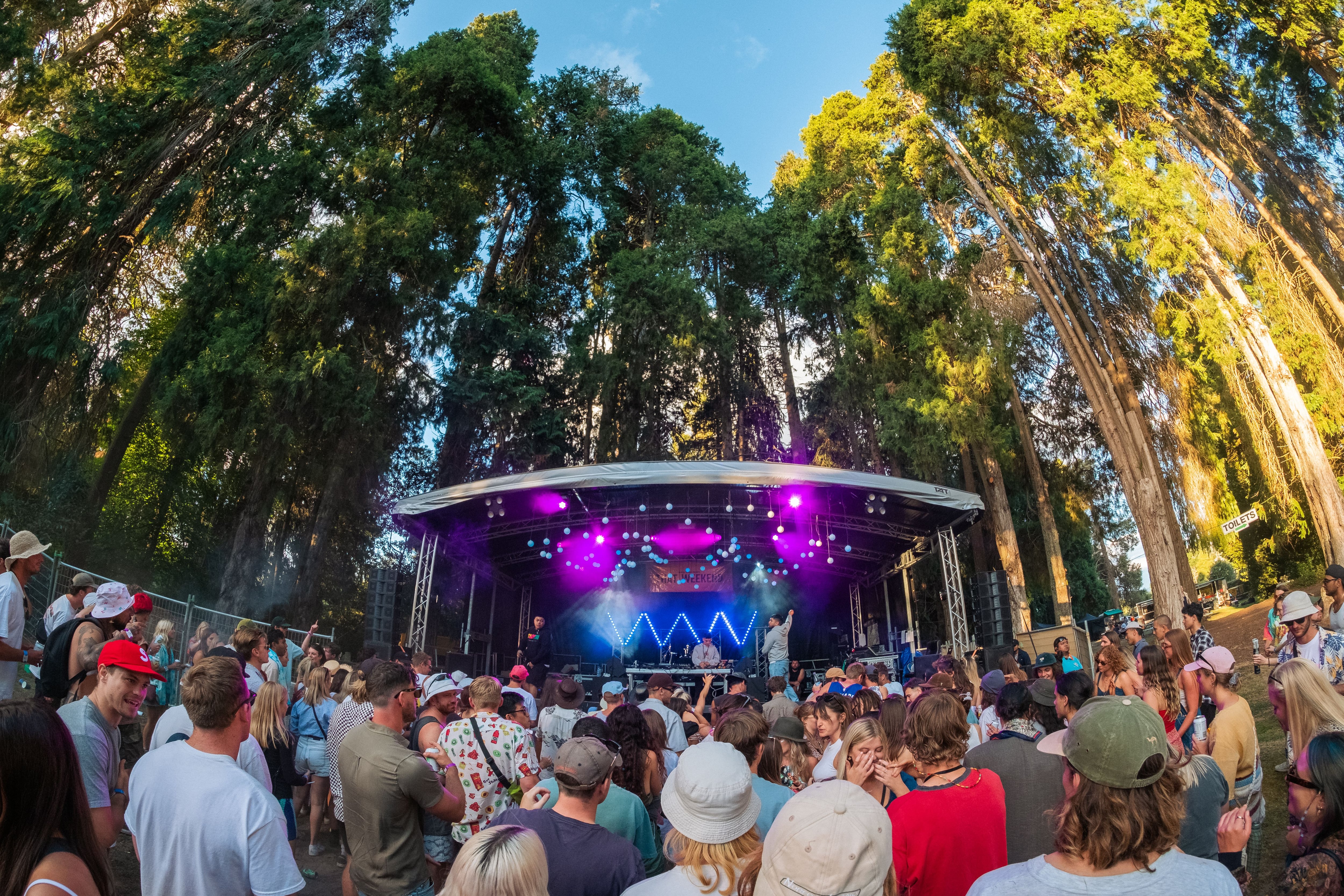 That Weekend festival will have South Waikato buzzing with big line-up - NZ  Herald