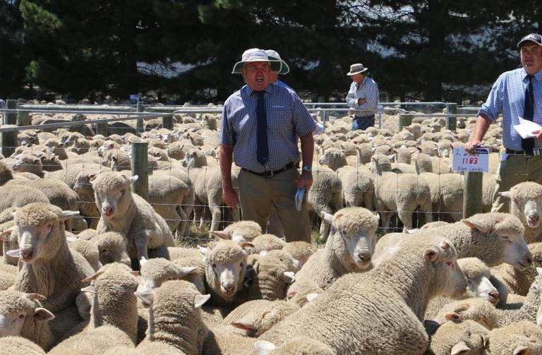 cult of the lamb sales