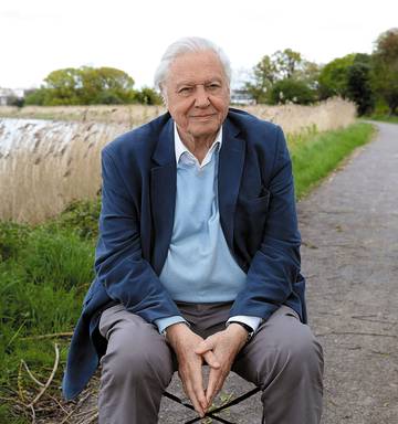 Natural Wonder David Attenborough On Facing His Mortality Nz Herald