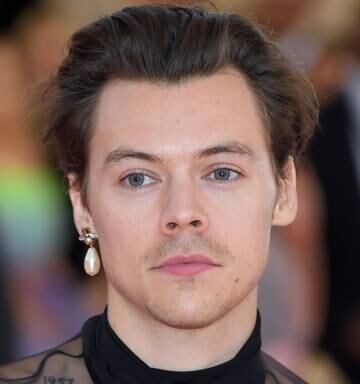 Fans Unstanning Harry Styles Over Drastic Makeover Nz Herald - 