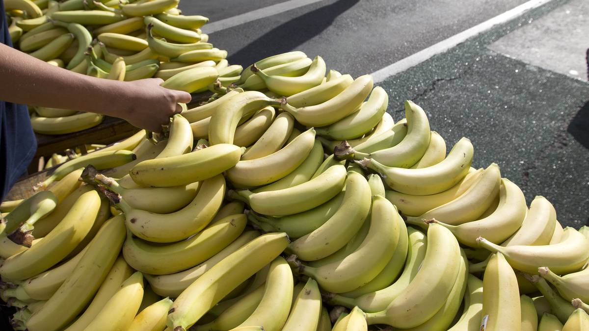 Shortage causes banana drama Rotorua Daily Post News NZ Herald