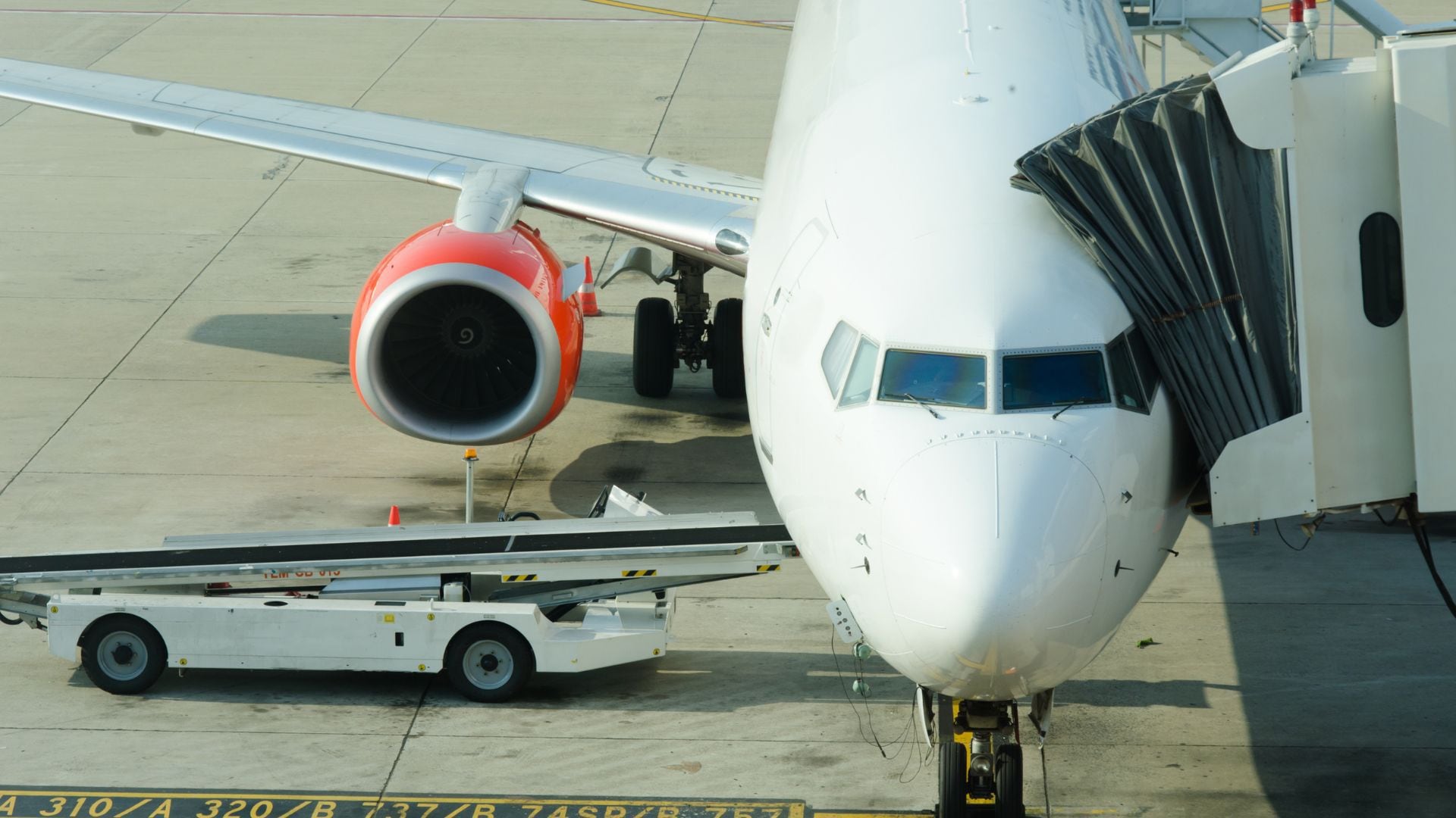 Delta, Atlanta Braves surprise fans with flights and tickets to