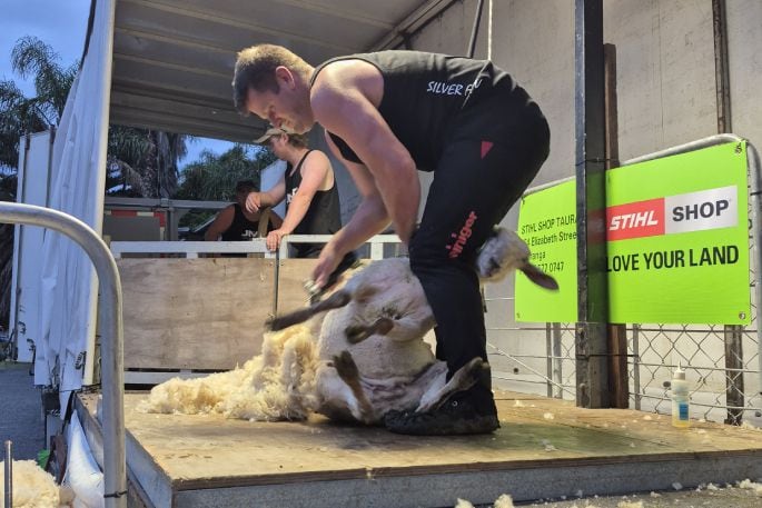 Romey Bradoul came fifth in the Open Shearer section with a time of 21 seconds. Photo/Supplied.