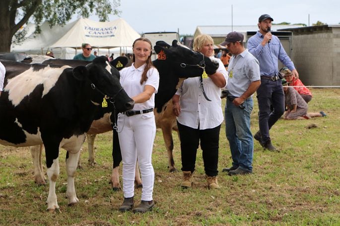 Livestock is a mainstay at the show each year. Photo / Stuart Whitaker