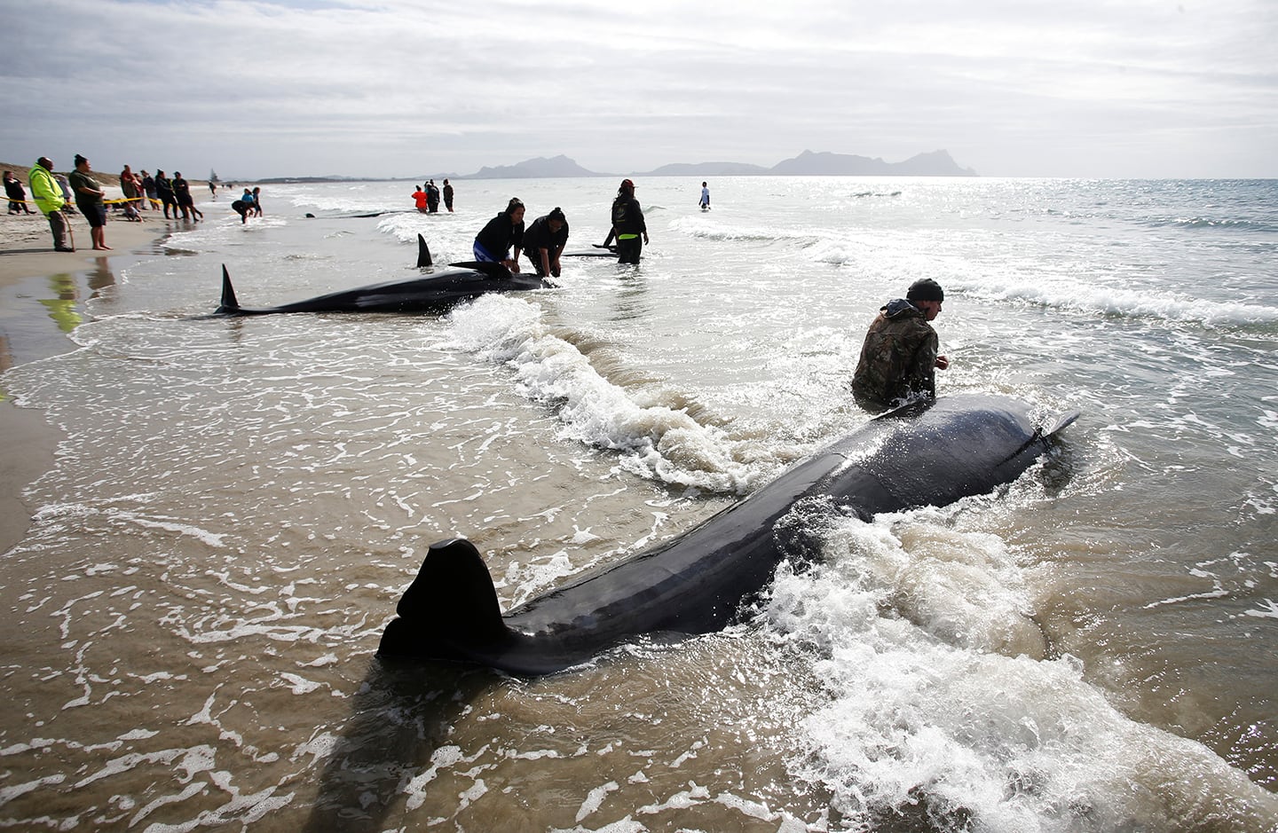 Death Stranding Escape Whale Death Strand 