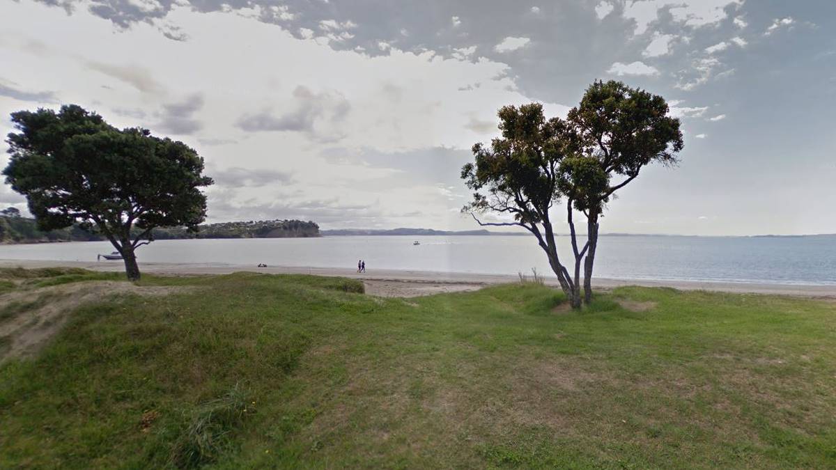 The couple spotted a shark off Big Manley Beach in Auckland