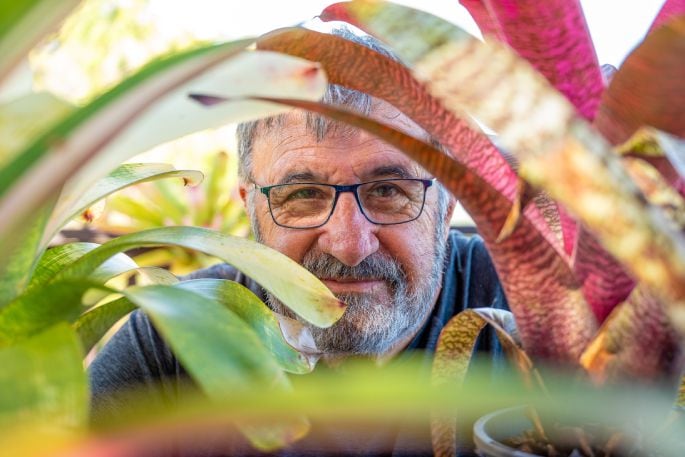 Peter Calkin enjoying hundreds of bromeliads growing in his garden. Photo/ David Hall.