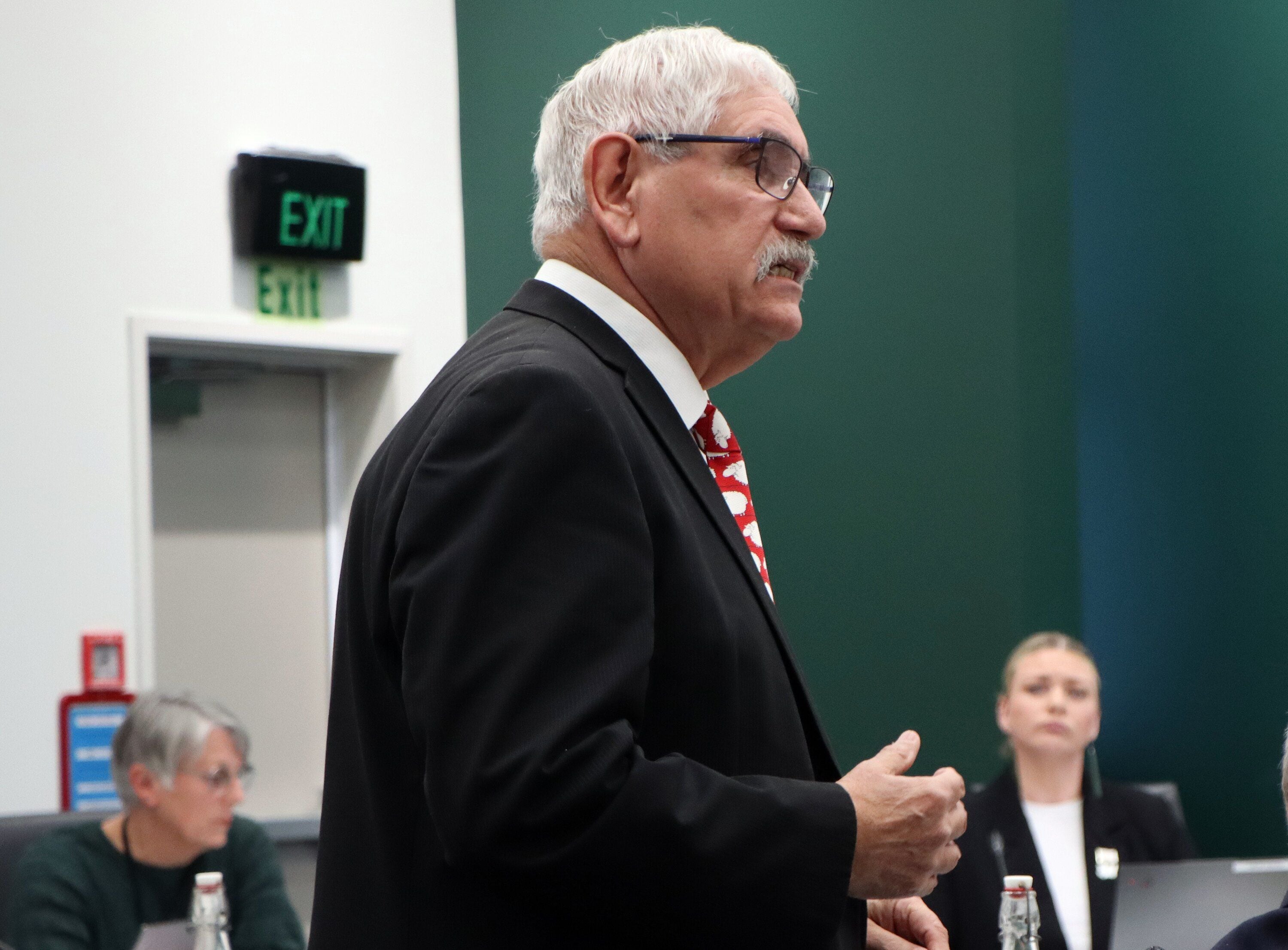 Councillor Allan Sole said Māori wards didn’t bring mana to Māori. Photo / Alisha Evans