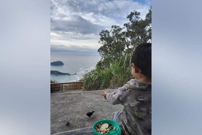 Zan sharing his snacks with the birds at the Mauao summit. Photo: Oo Aye Nyein.