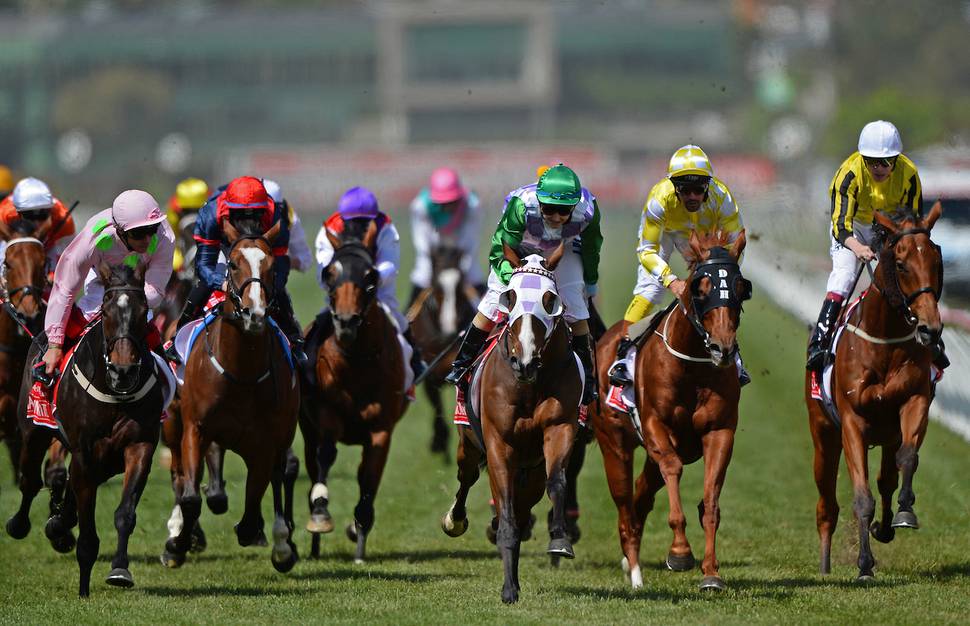 Racing Melbourne Cup winner Michelle Payne opens up about 'Ride Like a