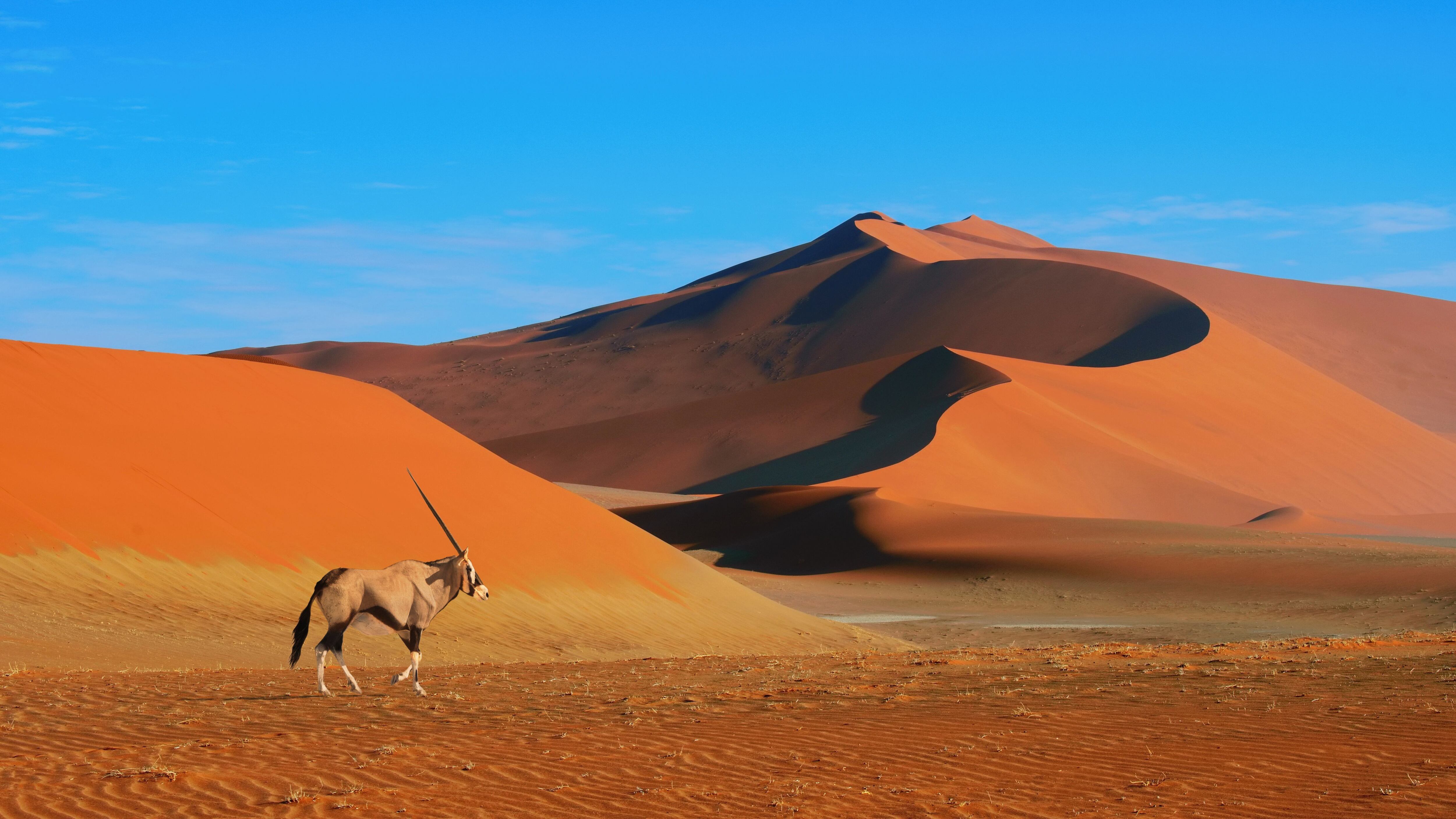 Namibia: Authorities condemn tourists posing naked in Namib Desert - NZ  Herald