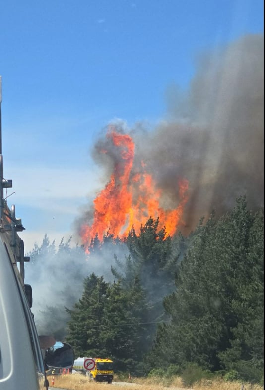 A series of fires along State Highway One near Burnham and Dunsandel south of Christchurch have broken out today. Photo / Supplied