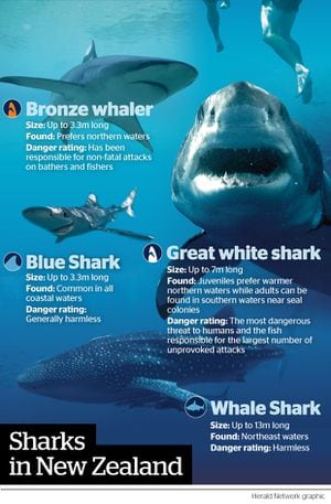 The world's most shark-filled waters