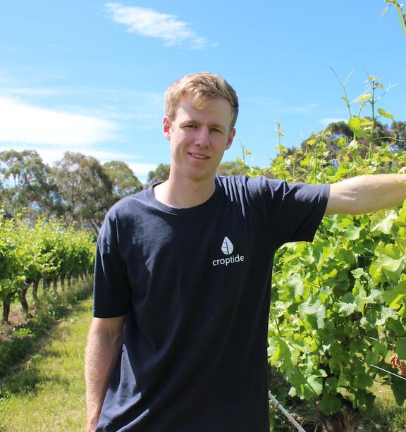 NZ grape scarcity to push up Cloudy Bay prices - The Drinks Business