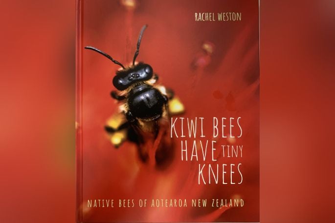 The front cover of Kiwi Bees have Tiny Knees. Photo: Rosalie Liddle Crawford