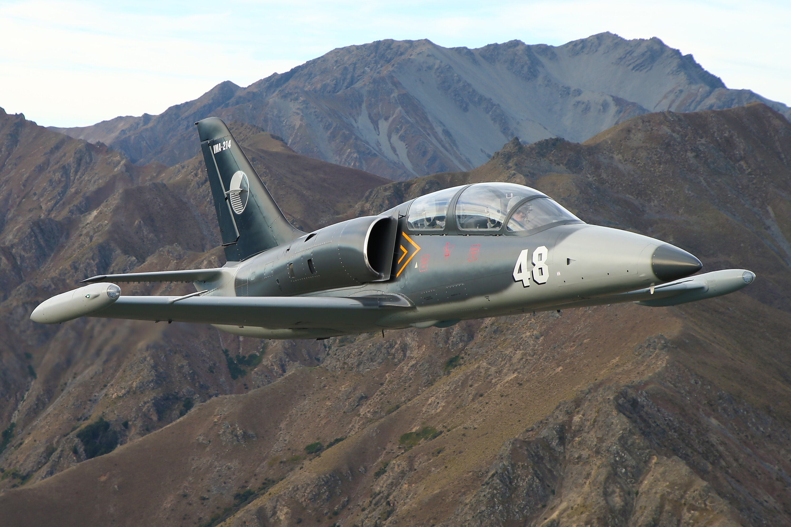 Albatross-48 one of the ex-Ukrainian Airforce trainer jets. Photo/ Fighter Jets NZ