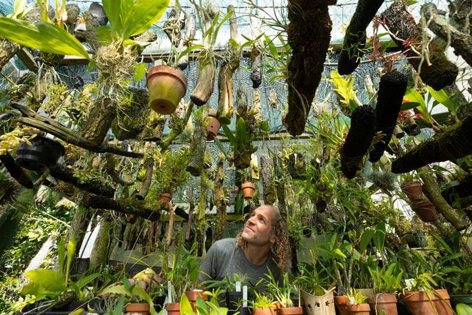 Caleb Lamond surrounded by orchids. Photo: John Borren.