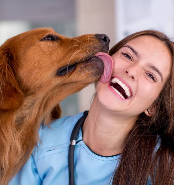 can humans get sepsis from dogs