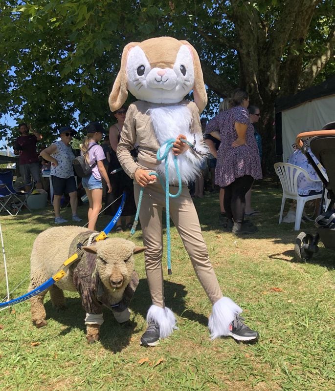 Ariela, 13, came up with the idea of dressing Pipsqueak the sheep as the hunter, and herself the prey. She won second place ribbons in leading and calling and best trick.  Photo: Rebecca Mauger