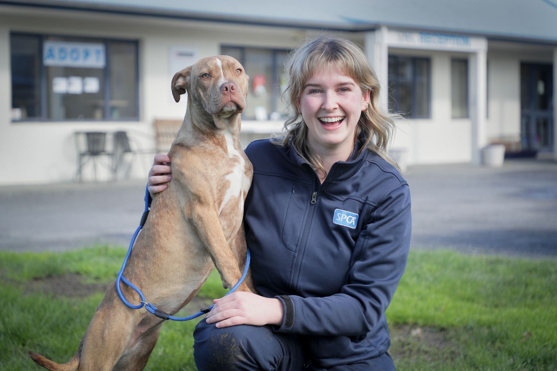 Nelly a five month old puppy has spent her whole life in SPCA