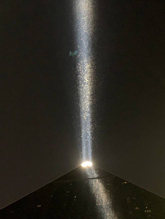 Las Vegas 'Biblical' swarm of locusts plagues strip