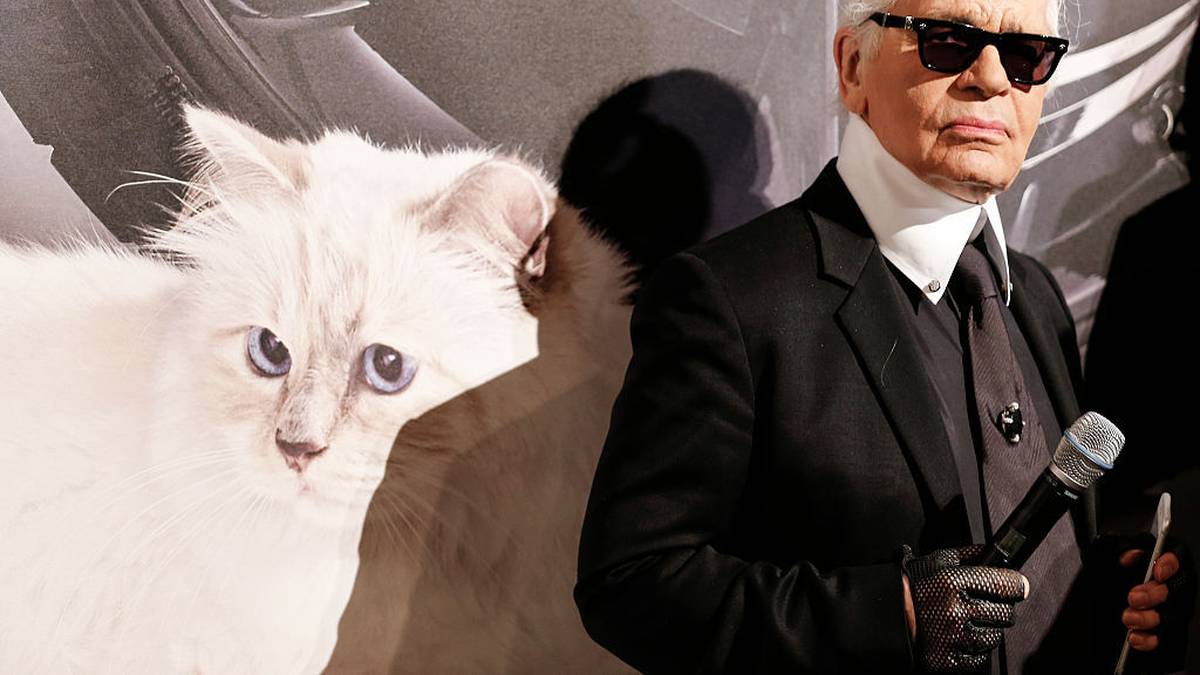 Karl Lagerfeld's famous cat Choupette could be 'heir' to Chanel