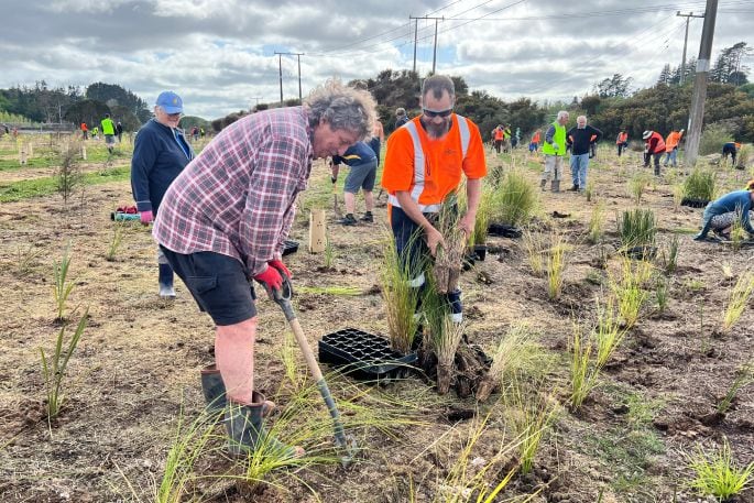 Bill Reeves and Mark Fullerton pitch in with the planting effort at Kōpūrererua Valley on September 29. Photo: Supplied.