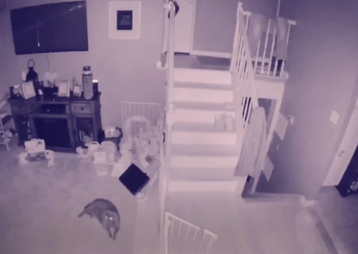 Ghost Sighting Caught On Home Security Camera Nz Herald