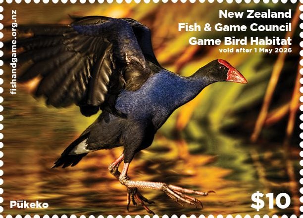 David Towgood's winning image on the stamp for the 2025 Game Bird Habitat Stamp competition. 