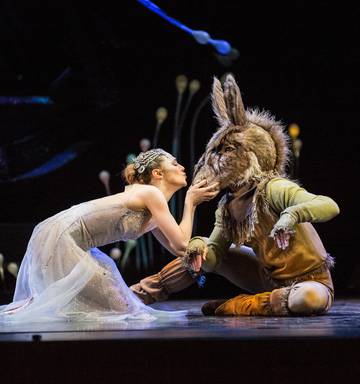 Royal NZ Ballet's delightful Midsummer Night's Dream - NZ Herald
