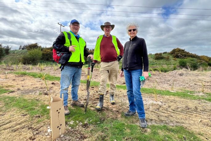 Andrew Von Dadelzen, Neil Percival, and Sheena Spittles from Tauranga Te Papa Rotary helping plant 4500 plants in Kōpūrererua Valley on September 29.