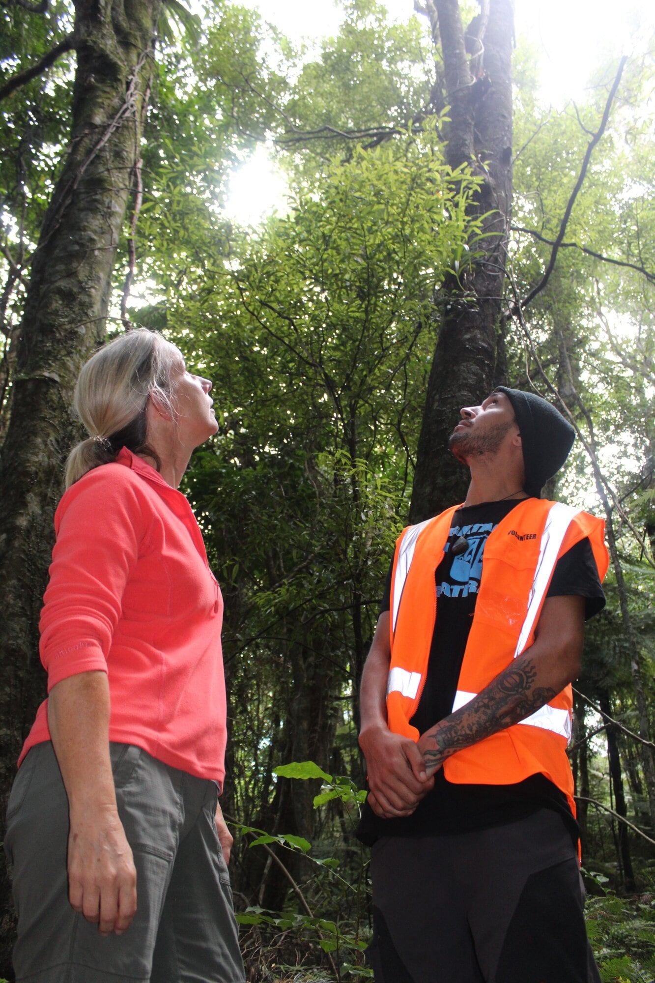  Uenuku and Karen check out bracket fungi in the trees. Photo / Rebecca Mauger