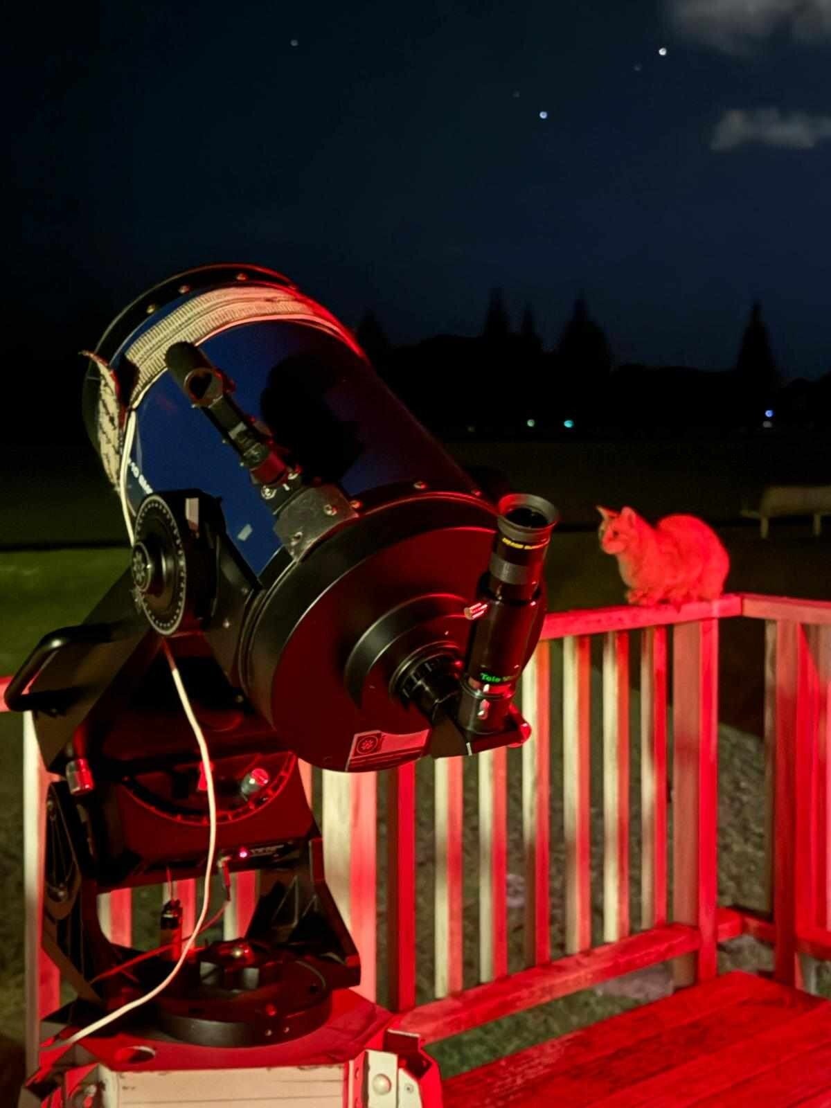  Astro Cat at the Tauranga Astronomical Society. Photo / Supplied