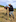 Roger and Barb Barton work on fencing at their boundary. Photo / Rachel Thomas