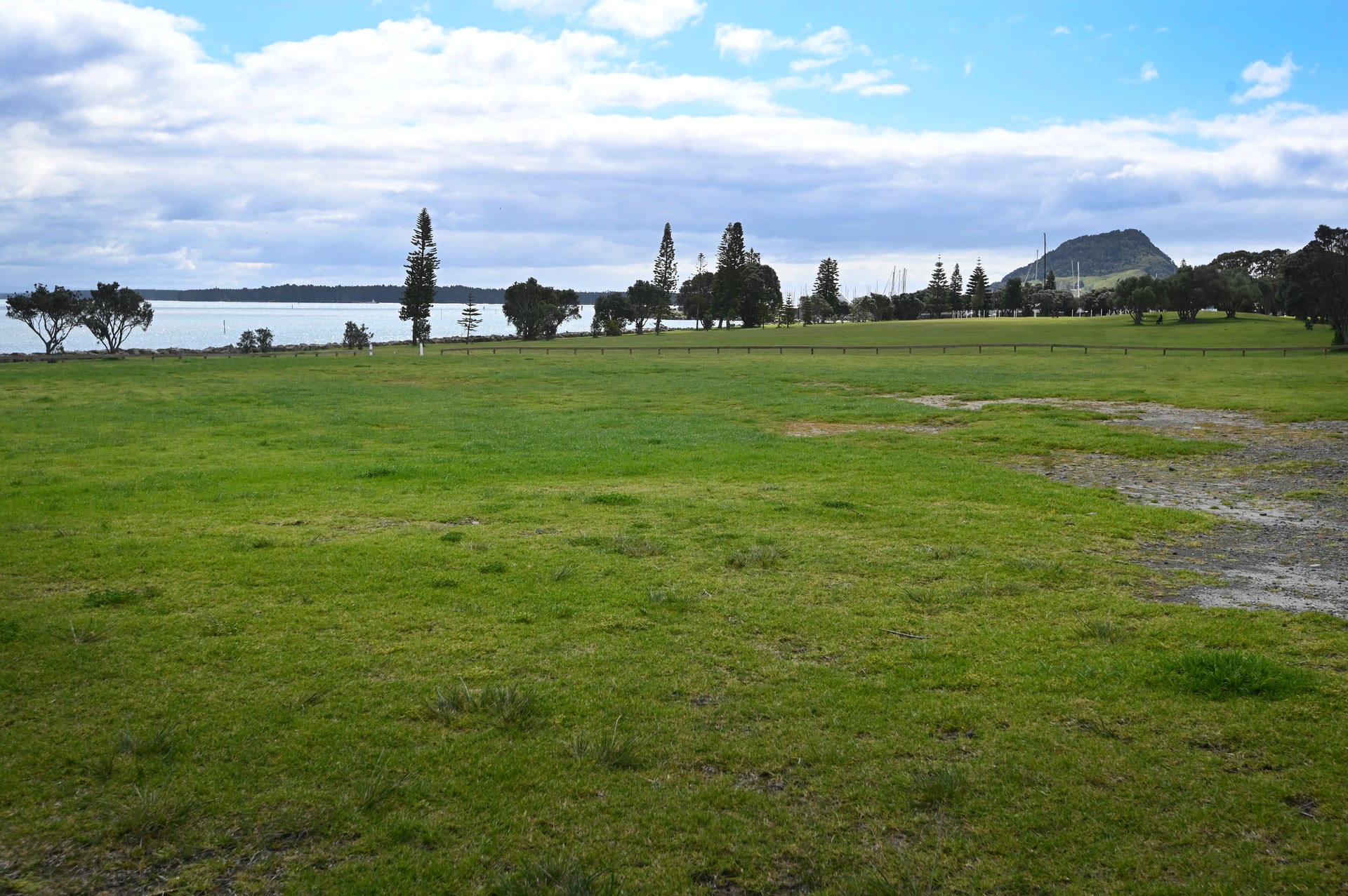 Marine Park at Sulphur Point where the marine research facility will be built. Photo / George Novak 