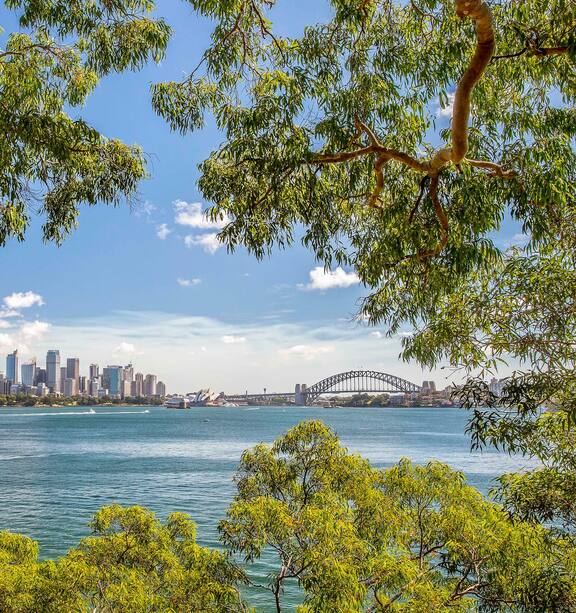 Australia holidays: Sydney's new walking track from Bondi to Manly - NZ  Herald