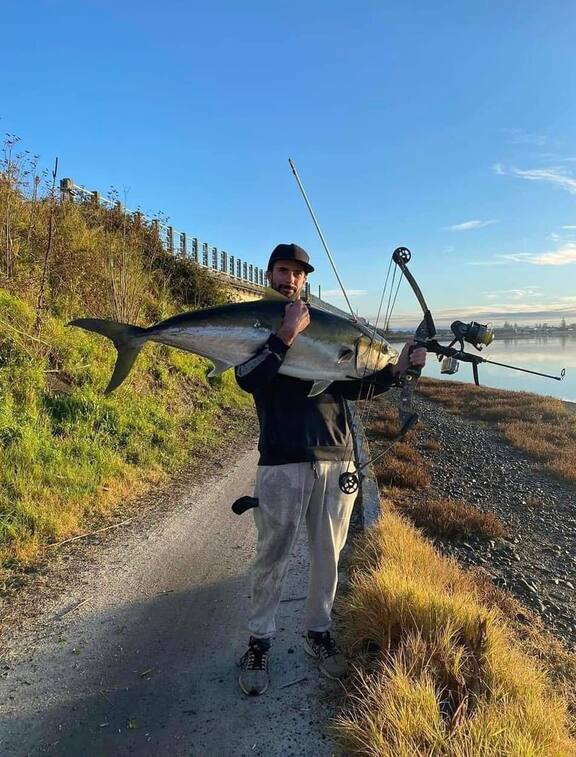 Watch: Napier fisherman catches kingfish off bridge with bow and arrow - NZ  Herald