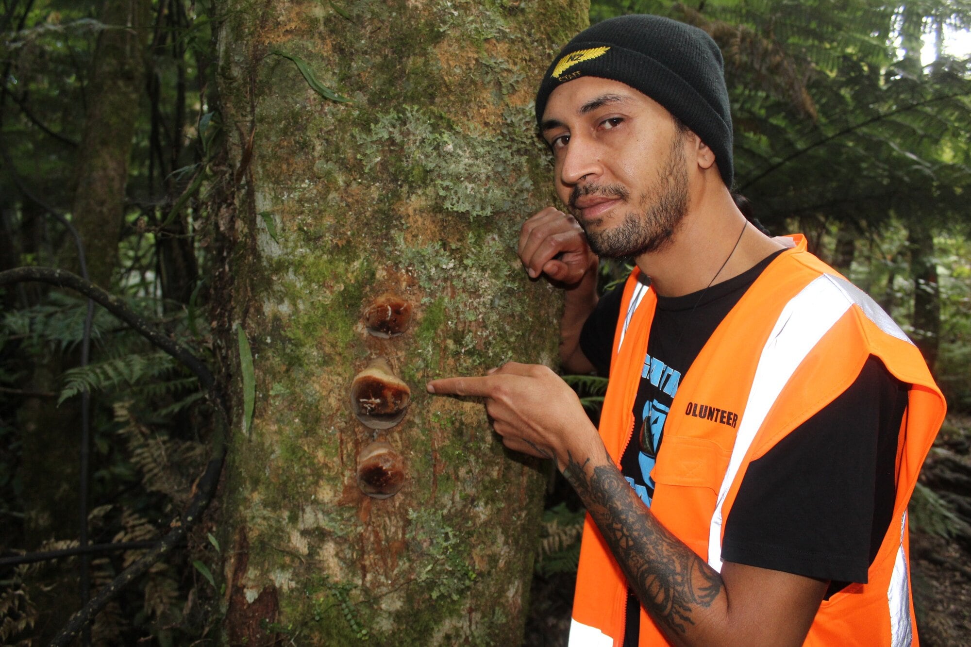  Uenuku Ainsley is fascinated by fungi. Photo / Rebecca Mauger