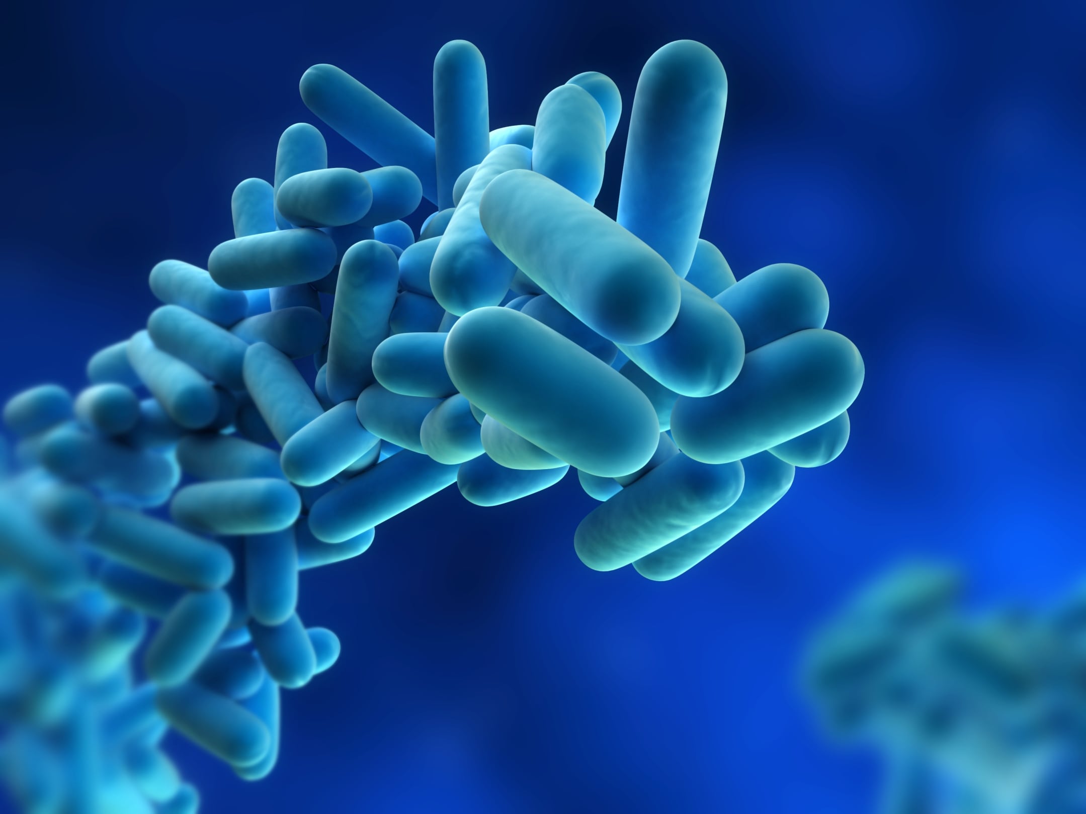 Legionella pneumophila.