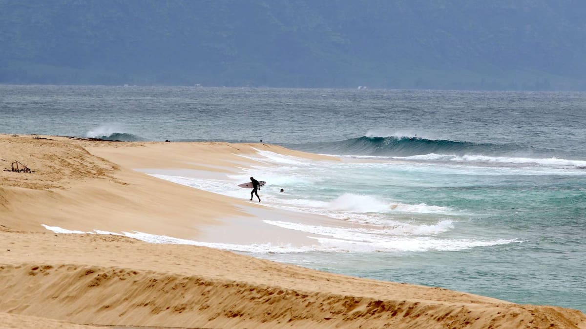 Hawaii lifeguard dies in shark attack while surfing off Oahu