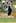 Iain O'Brien of New Zealand bowls during the first one-day international against India in Napier. Photo / Getty Images