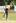 Hayden Barrett took four wickets for Lansdowne.