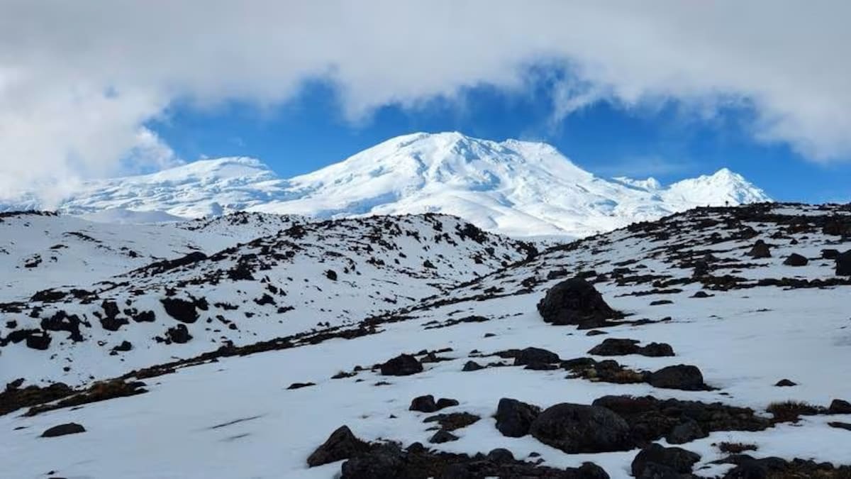 Woman dies after Mt Ruapehu climbing accident
