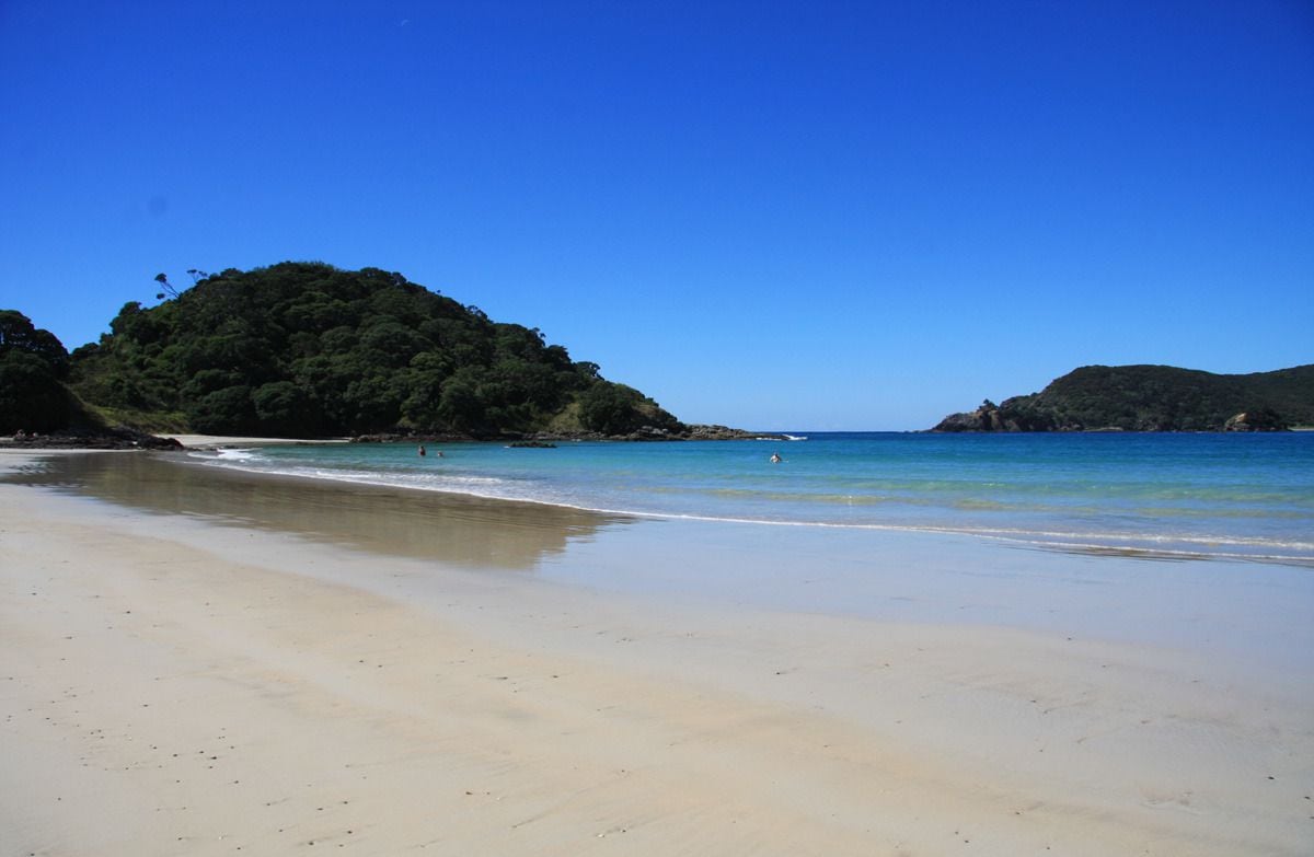 New Zealands Best Beach: Northlands Maitai Bay and Bay of Plentys Ōhope  - NZ Herald