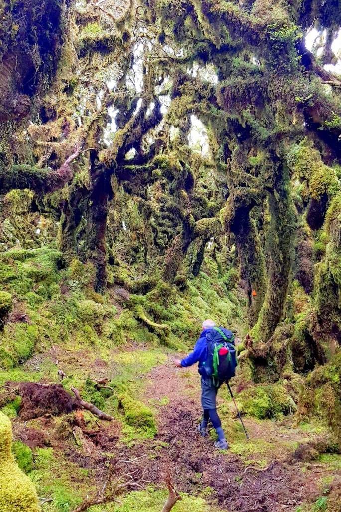 Duncan Smith, 79, in the Goblin Forests in the Tararua Mountain Range on the Te Araroa Trail.  