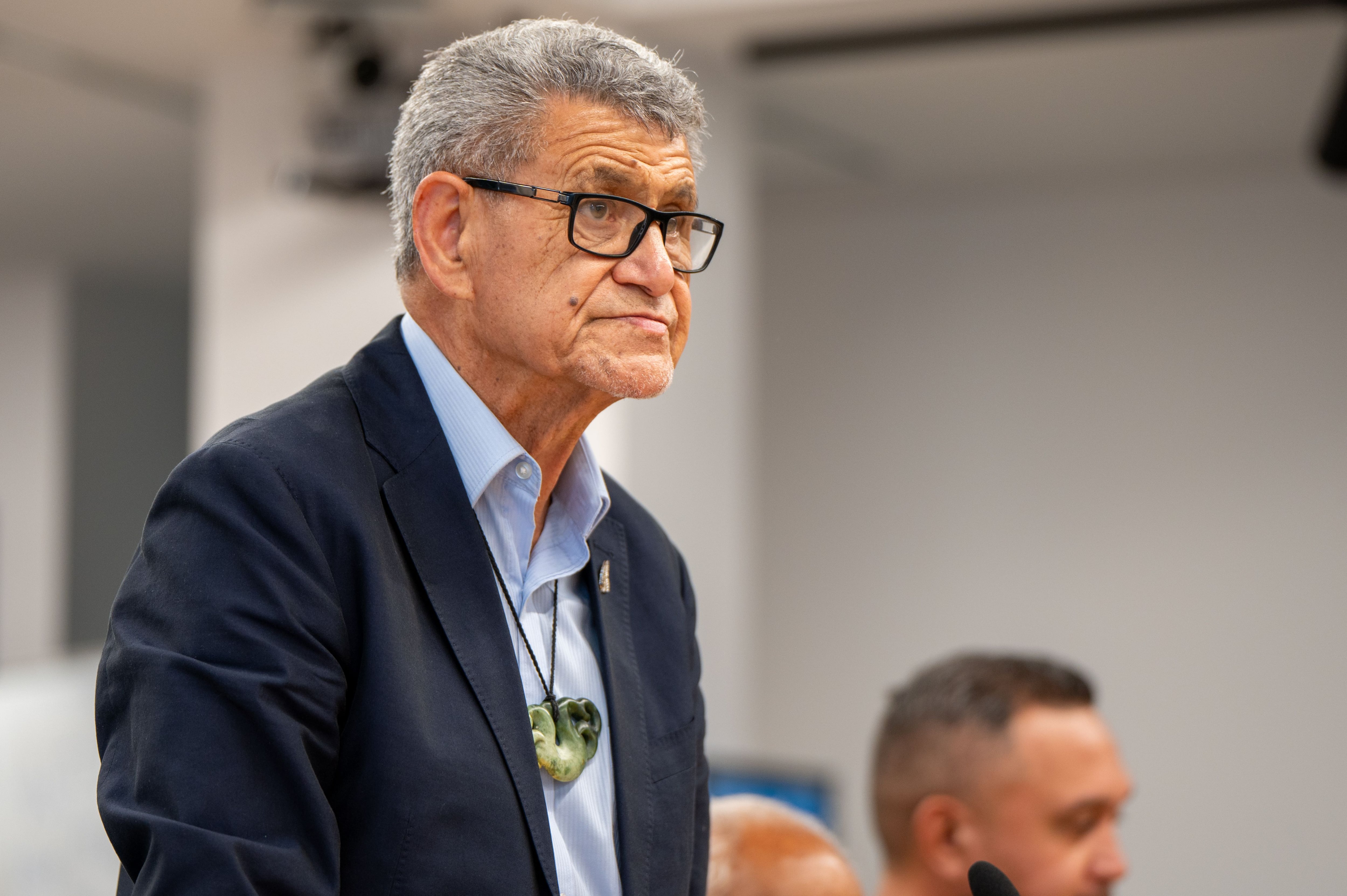 Otamataha Trust chairman Puhirake Ihaka said the buildings needed to represent the relationship mana whenua had built with the council. Photo / David Hall